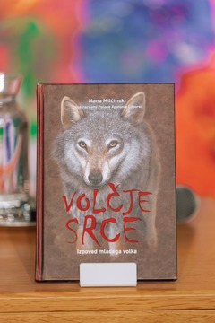 Literarno opoldne Pogovor z Nano Milčinski (14)